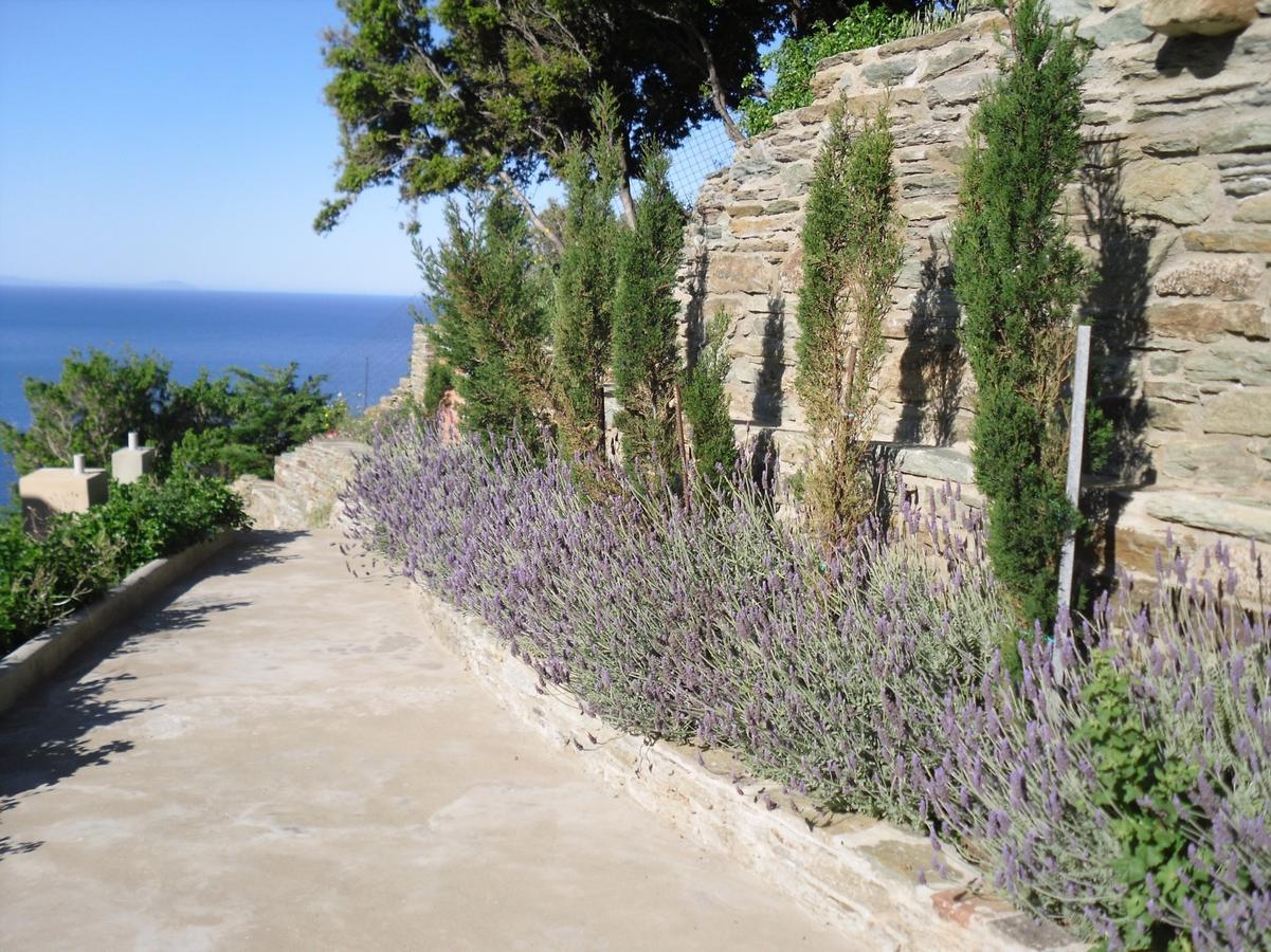 Aparthotel Aegean Castle Andros - Adults Only Agia Eleousa Esterno foto